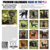 Flatcoated Retriever Wall Calendar 2027 - 12" x 12" Monthly Sleek Black Flattie Sporting Gundog Breed Calendar