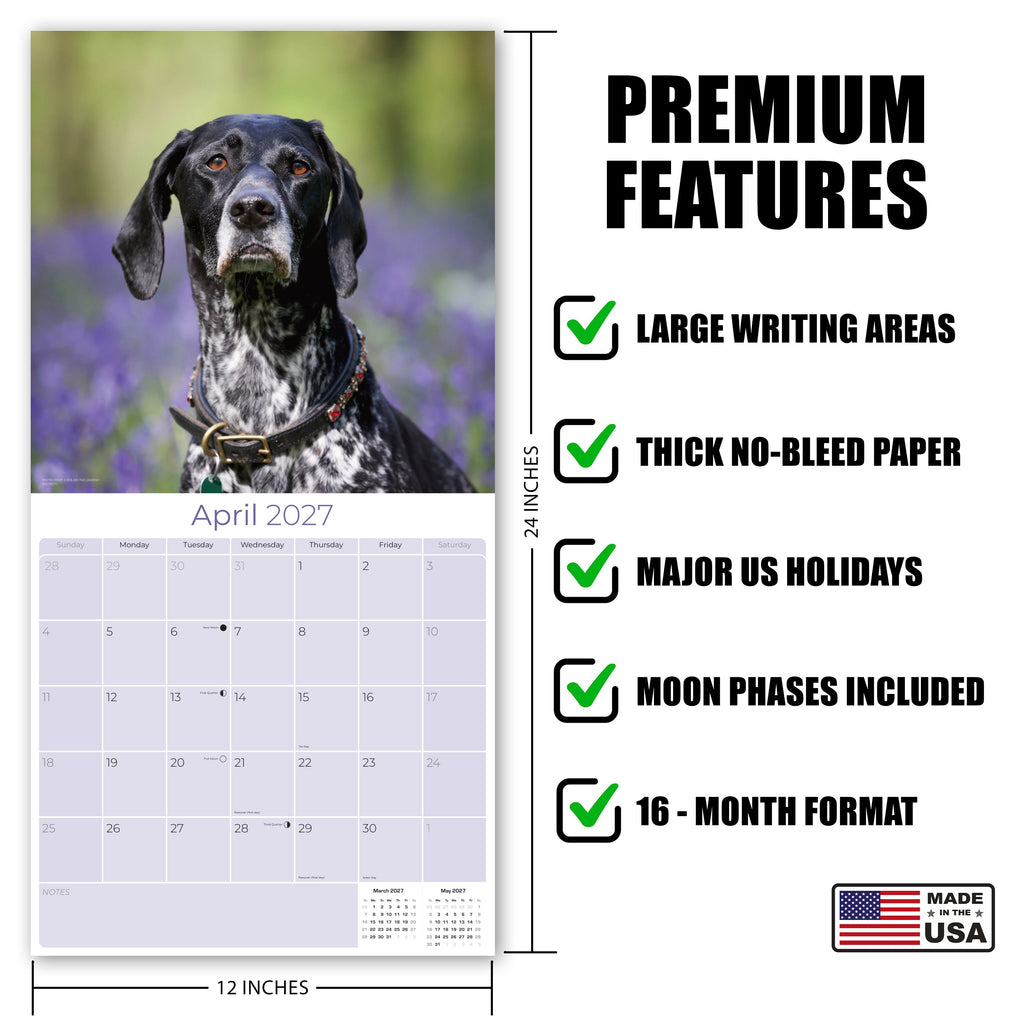 German Shorthaired Pointer Wall Calendar 2027 - 12" x 12" Monthly Athletic GSP Pointer & Liver Ticked Gundog Calendar