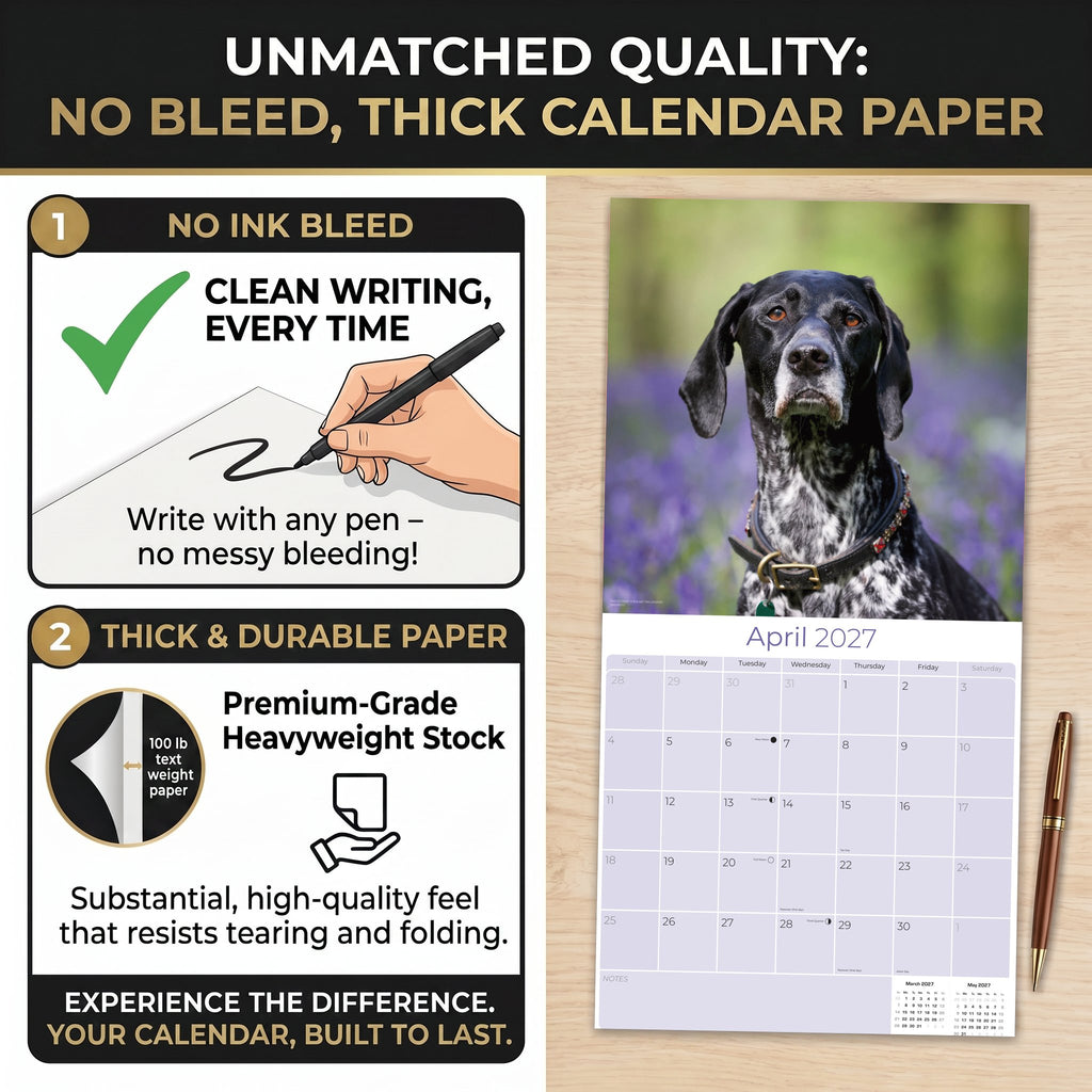 German Shorthaired Pointer Wall Calendar 2027 - 12" x 12" Monthly Athletic GSP Pointer & Liver Ticked Gundog Calendar