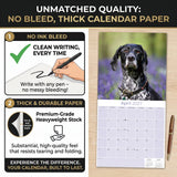 German Shorthaired Pointer Wall Calendar 2027 - 12" x 12" Monthly Athletic GSP Pointer & Liver Ticked Gundog Calendar