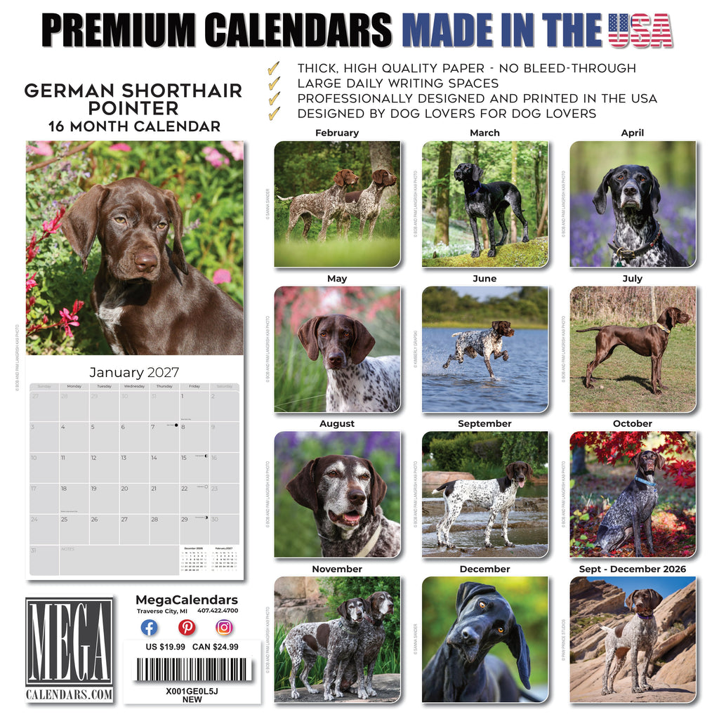 German Shorthaired Pointer Wall Calendar 2027 - 12" x 12" Monthly Athletic GSP Pointer & Liver Ticked Gundog Calendar