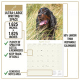 Gordon Setter Wall Calendar 2027 - 12" x 12" Monthly Heavy Black & Tan Gordon Setter Gundog Calendar