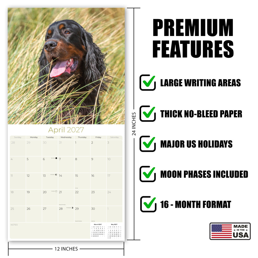 Gordon Setter Wall Calendar 2027 - 12" x 12" Monthly Heavy Black & Tan Gordon Setter Gundog Calendar