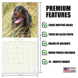 Gordon Setter Wall Calendar 2027 - 12" x 12" Monthly Heavy Black & Tan Gordon Setter Gundog Calendar
