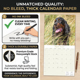 Gordon Setter Wall Calendar 2027 - 12" x 12" Monthly Heavy Black & Tan Gordon Setter Gundog Calendar