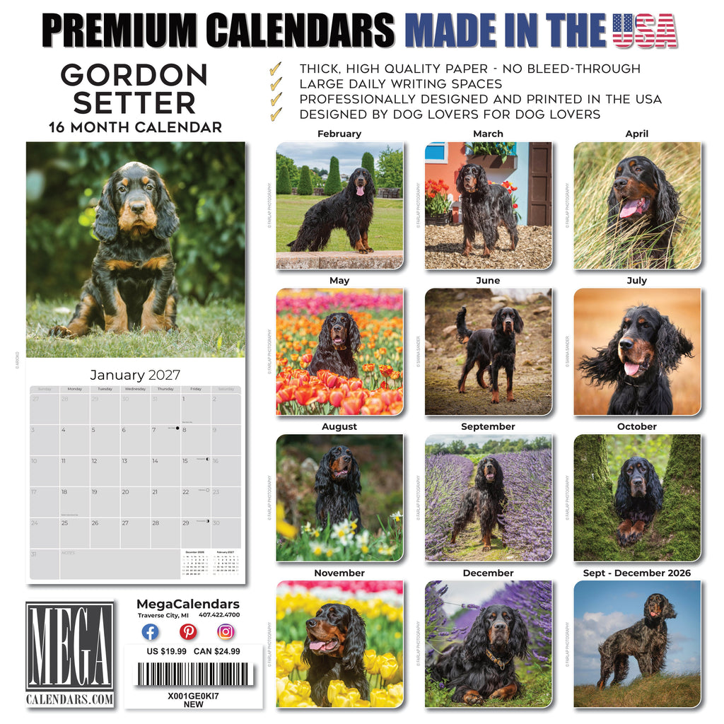 Gordon Setter Wall Calendar 2027 - 12" x 12" Monthly Heavy Black & Tan Gordon Setter Gundog Calendar