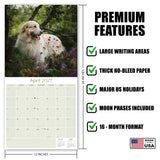 Great Pyrenees Wall Calendar 2027 - 12" x 12" Monthly Noble Pure-White Livestock Guardian Mountain Dog Calendar