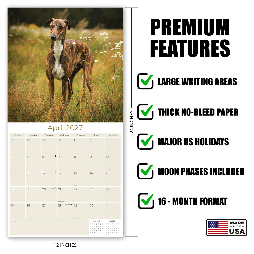 Greyhound Wall Calendar 2027 - 12" x 12" Monthly Sleek Aerodynamic Racing & Athletic Sighthound Calendar