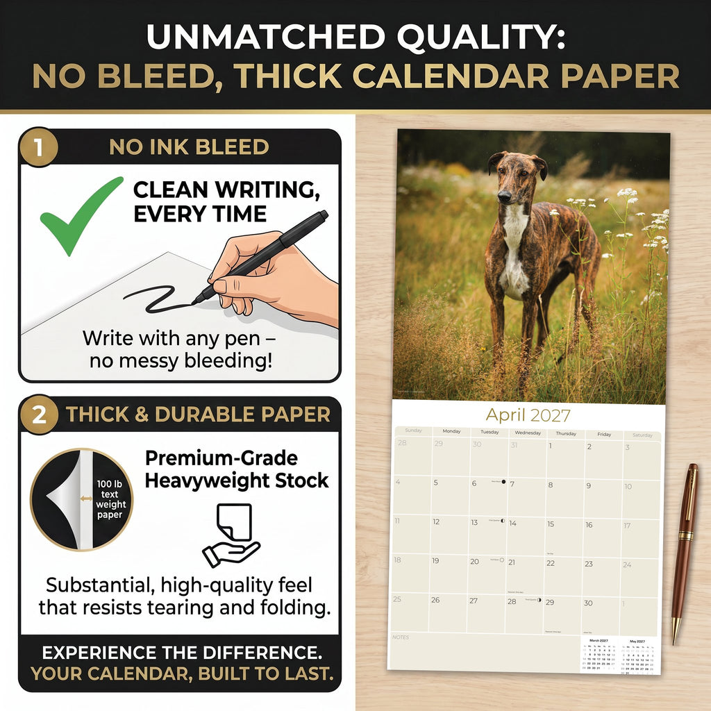 Greyhound Wall Calendar 2027 - 12" x 12" Monthly Sleek Aerodynamic Racing & Athletic Sighthound Calendar