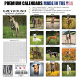 Greyhound Wall Calendar 2027 - 12" x 12" Monthly Sleek Aerodynamic Racing & Athletic Sighthound Calendar