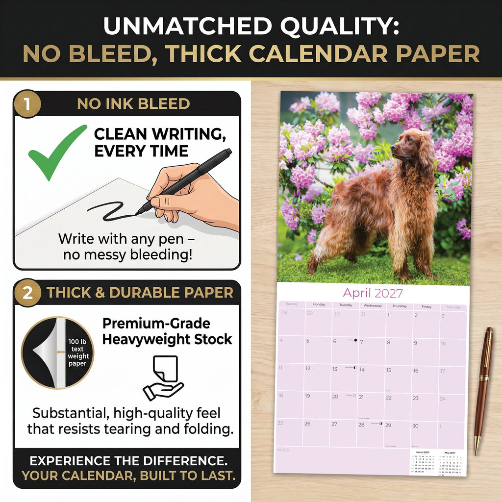Irish Setter Wall Calendar 2027 - 12" x 12" Monthly Elegant Mahogany & Feathered Red Setter Gundog Calendar