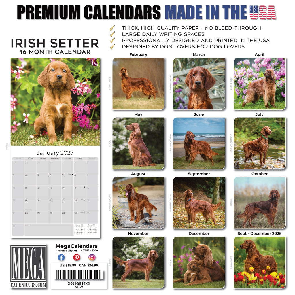 Irish Setter Wall Calendar 2027 - 12" x 12" Monthly Elegant Mahogany & Feathered Red Setter Gundog Calendar