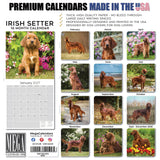 Irish Setter Wall Calendar 2027 - 12" x 12" Monthly Elegant Mahogany & Feathered Red Setter Gundog Calendar
