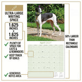 Italian Greyhound Wall Calendar 2027 - 12" x 12" Monthly Sleek Miniature & Graceful Sighthound Toy Calendar