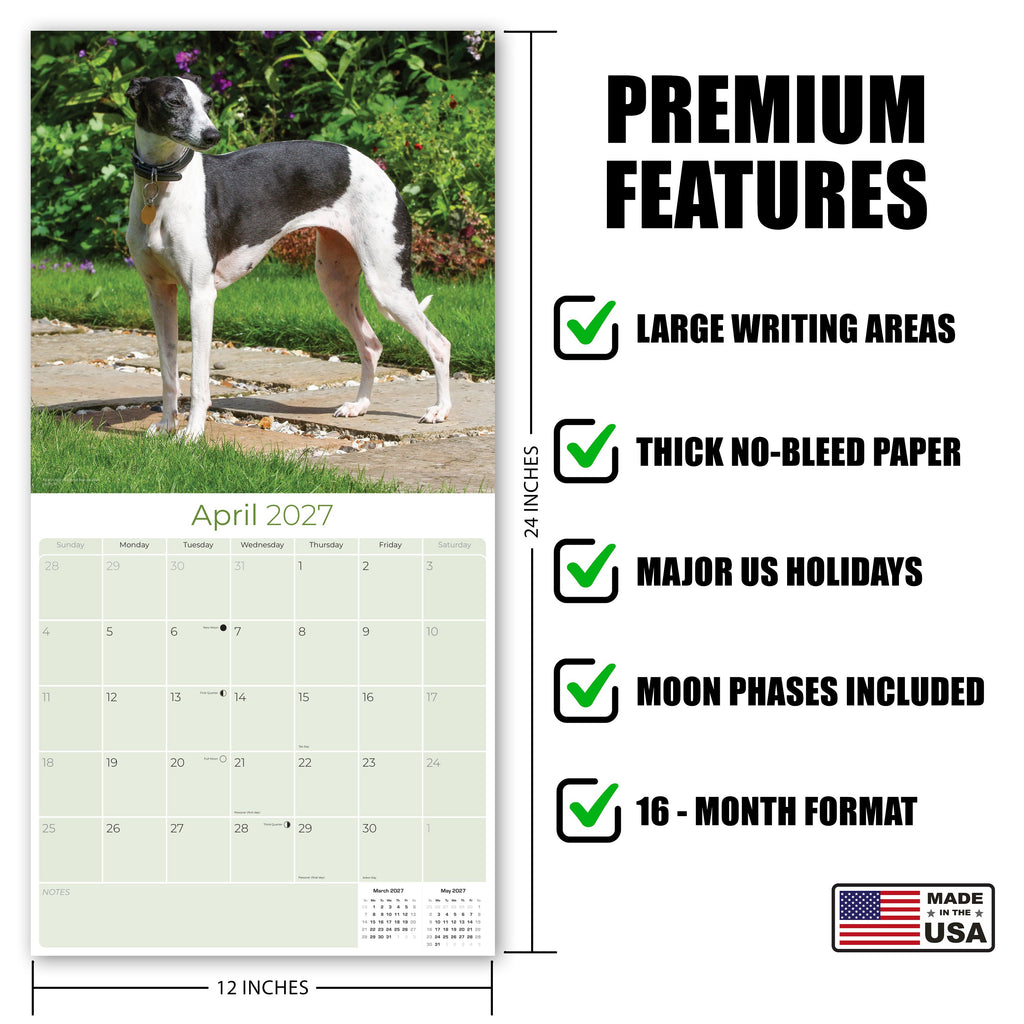 Italian Greyhound Wall Calendar 2027 - 12" x 12" Monthly Sleek Miniature & Graceful Sighthound Toy Calendar