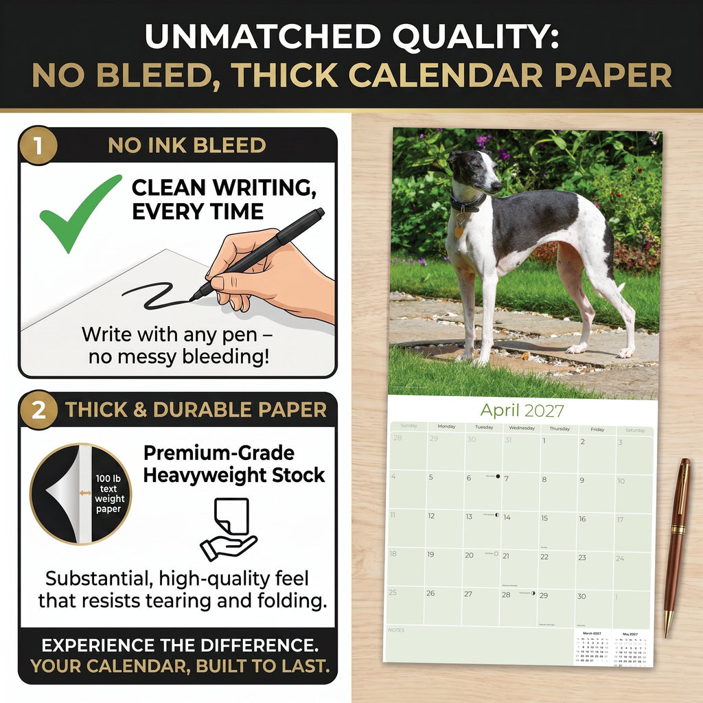 Italian Greyhound Wall Calendar 2027 - 12" x 12" Monthly Sleek Miniature & Graceful Sighthound Toy Calendar