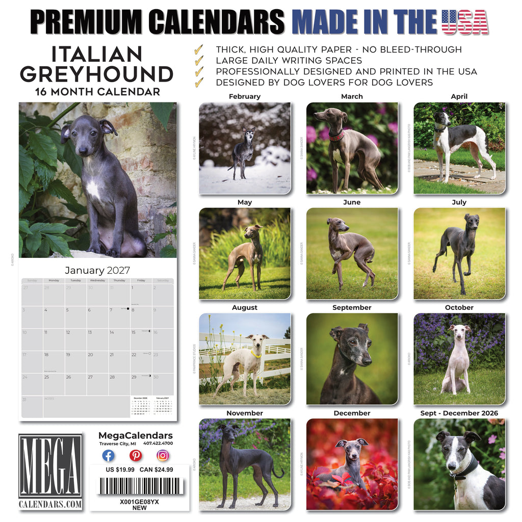 Italian Greyhound Wall Calendar 2027 - 12" x 12" Monthly Sleek Miniature & Graceful Sighthound Toy Calendar