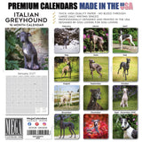Italian Greyhound Wall Calendar 2027 - 12" x 12" Monthly Sleek Miniature & Graceful Sighthound Toy Calendar