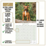 Jack Russell Wall Calendar 2027 - 12" x 12" Monthly Feisty & Spirited Working Terrier Breed Calendar