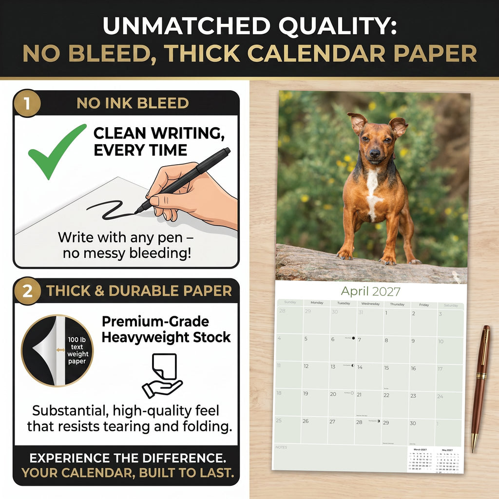 Jack Russell Wall Calendar 2027 - 12" x 12" Monthly Feisty & Spirited Working Terrier Breed Calendar