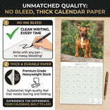 Jack Russell Wall Calendar 2027 - 12" x 12" Monthly Feisty & Spirited Working Terrier Breed Calendar