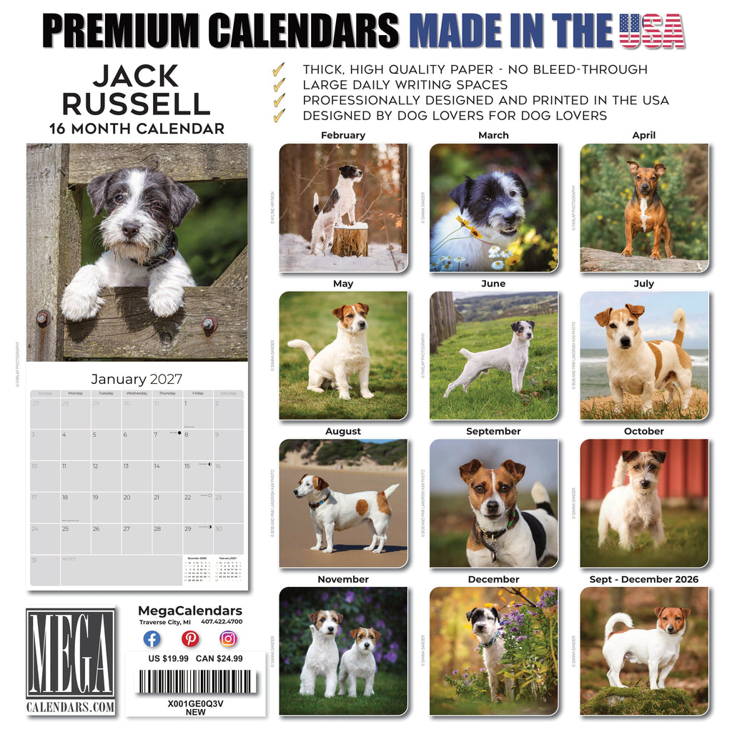 Jack Russell Wall Calendar 2027 - 12" x 12" Monthly Feisty & Spirited Working Terrier Breed Calendar