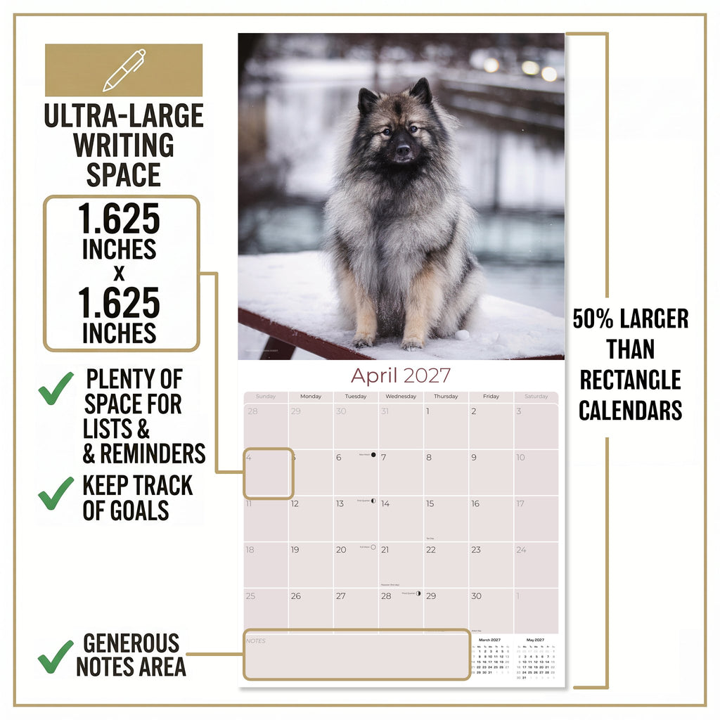 Keeshond Wall Calendar 2027 - 12" x 12" Monthly Plush Silver-Grey & Smiling Spitz Companion Calendar