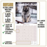 Keeshond Wall Calendar 2027 - 12" x 12" Monthly Plush Silver-Grey & Smiling Spitz Companion Calendar