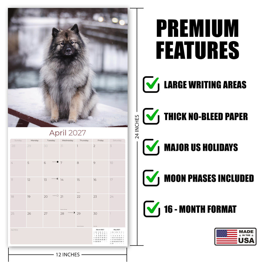Keeshond Wall Calendar 2027 - 12" x 12" Monthly Plush Silver-Grey & Smiling Spitz Companion Calendar