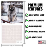 Keeshond Wall Calendar 2027 - 12" x 12" Monthly Plush Silver-Grey & Smiling Spitz Companion Calendar