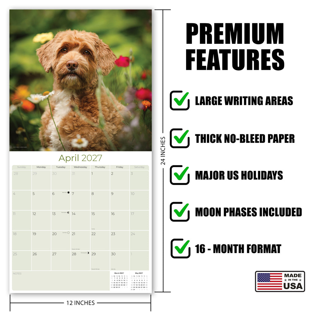 Labradoodle Wall Calendar 2027 - 12" x 12" Monthly Shaggy Teddy-Bear & Sweet Designer Cocker Poodle Hybrid Calendar