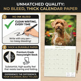 Labradoodle Wall Calendar 2027 - 12" x 12" Monthly Shaggy Teddy-Bear & Sweet Designer Cocker Poodle Hybrid Calendar