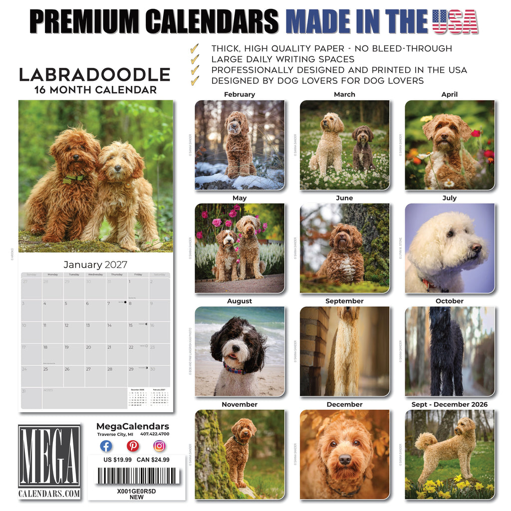 Labradoodle Wall Calendar 2027 - 12" x 12" Monthly Shaggy Teddy-Bear & Sweet Designer Cocker Poodle Hybrid Calendar