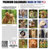 Labradoodle Wall Calendar 2027 - 12" x 12" Monthly Shaggy Teddy-Bear & Sweet Designer Cocker Poodle Hybrid Calendar