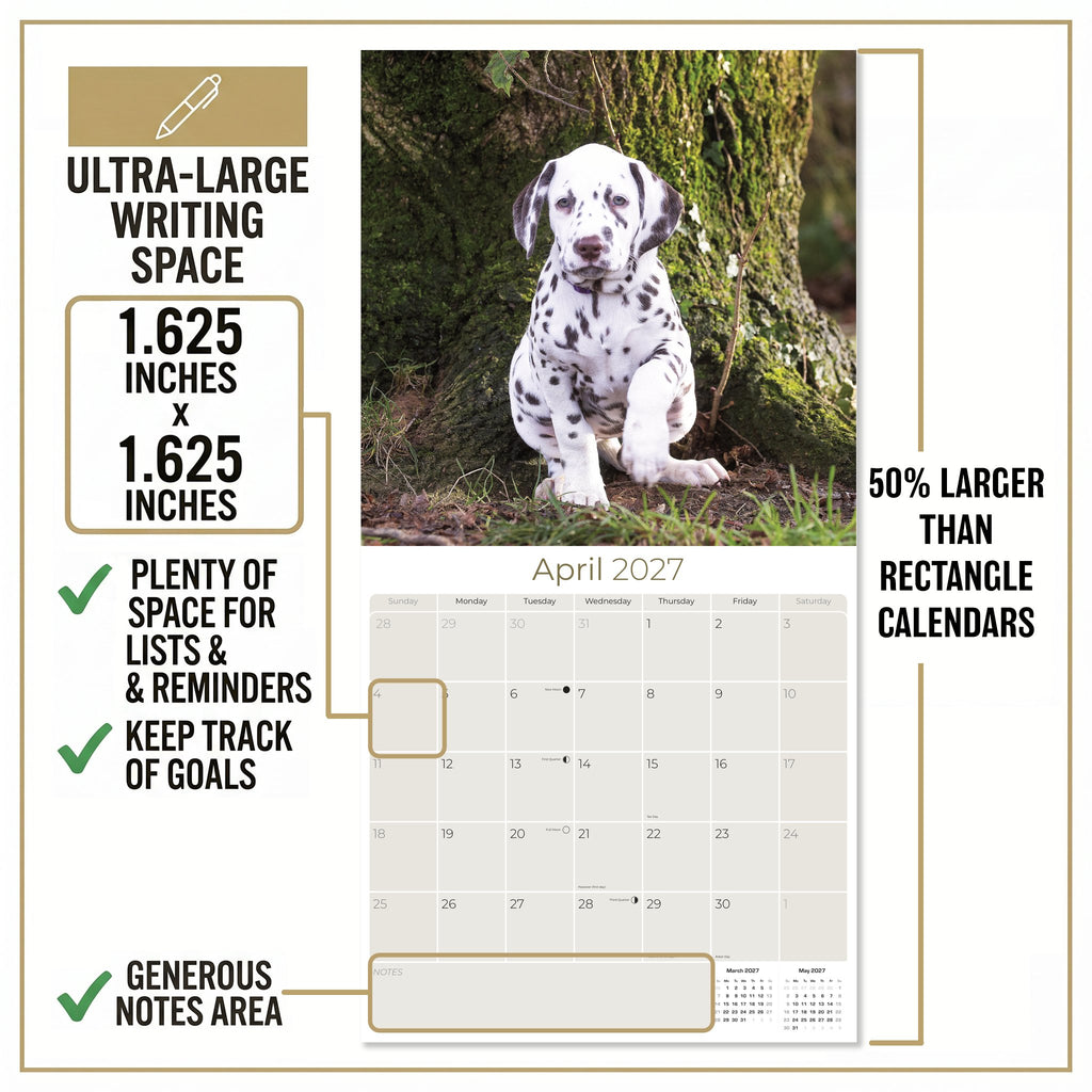 Dalmatian Puppies Wall Calendar 2027 - 12" x 12" Monthly Heartwarming Spotted Dalmatian Puppy Art Calendar