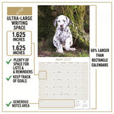 Dalmatian Puppies Wall Calendar 2027 - 12" x 12" Monthly Heartwarming Spotted Dalmatian Puppy Art Calendar