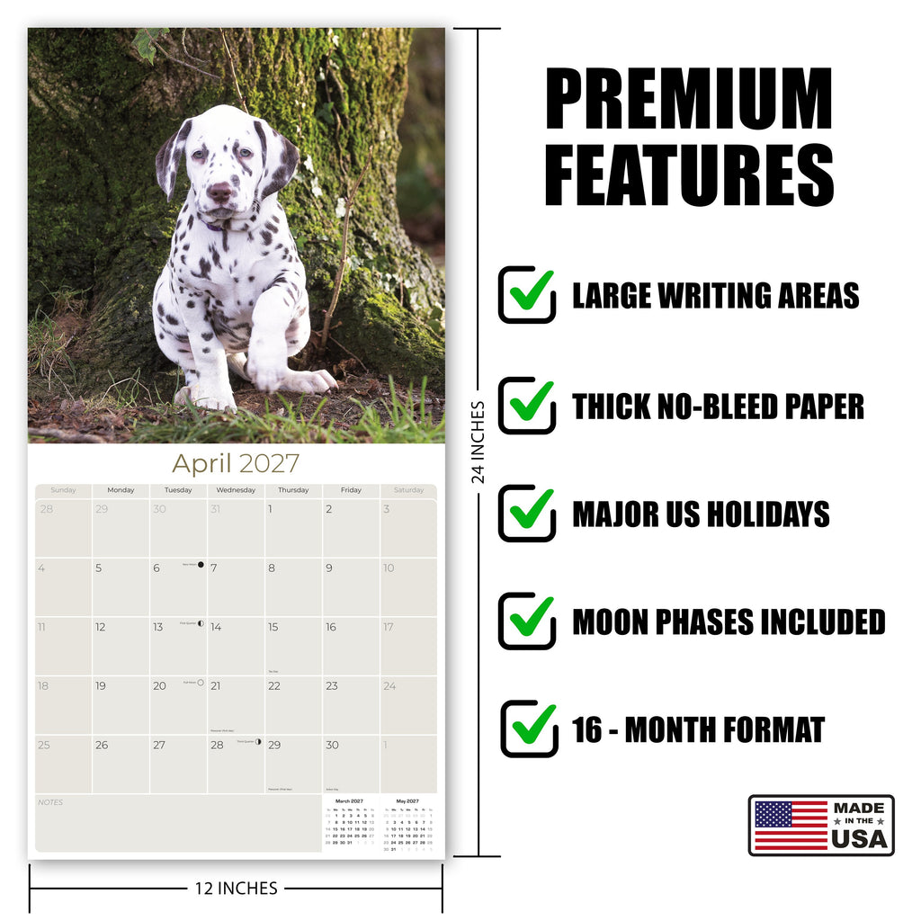 Dalmatian Puppies Wall Calendar 2027 - 12" x 12" Monthly Heartwarming Spotted Dalmatian Puppy Art Calendar