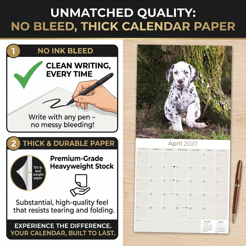 Dalmatian Puppies Wall Calendar 2027 - 12" x 12" Monthly Heartwarming Spotted Dalmatian Puppy Art Calendar