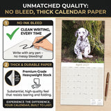 Dalmatian Puppies Wall Calendar 2027 - 12" x 12" Monthly Heartwarming Spotted Dalmatian Puppy Art Calendar