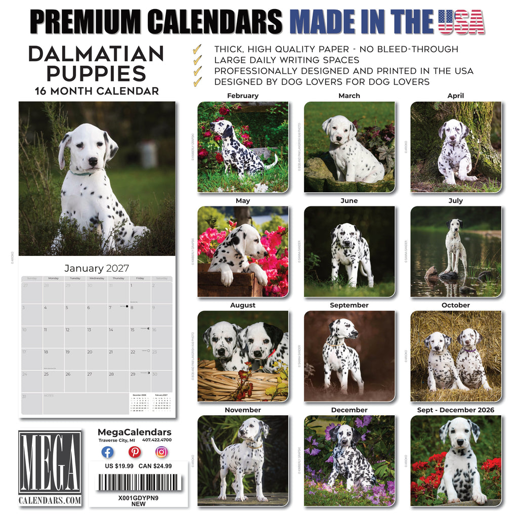 Dalmatian Puppies Wall Calendar 2027 - 12" x 12" Monthly Heartwarming Spotted Dalmatian Puppy Art Calendar