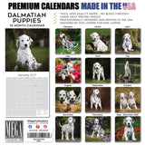 Dalmatian Puppies Wall Calendar 2027 - 12" x 12" Monthly Heartwarming Spotted Dalmatian Puppy Art Calendar