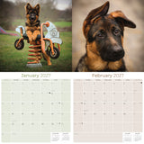 German Shepherd Puppies Wall Calendar 2027 - 12" x 12" Monthly Heartwarming GSD Puppy & Fluffy Shepherd Cub Calendar