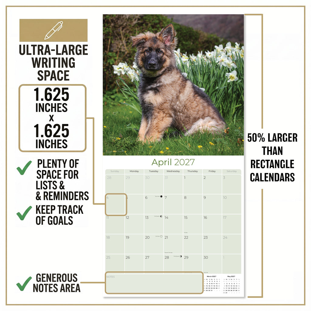 German Shepherd Puppies Wall Calendar 2027 - 12" x 12" Monthly Heartwarming GSD Puppy & Fluffy Shepherd Cub Calendar