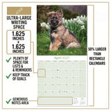 German Shepherd Puppies Wall Calendar 2027 - 12" x 12" Monthly Heartwarming GSD Puppy & Fluffy Shepherd Cub Calendar