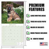 German Shepherd Puppies Wall Calendar 2027 - 12" x 12" Monthly Heartwarming GSD Puppy & Fluffy Shepherd Cub Calendar