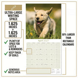 Yellow Labrador Retriever Puppies Wall Calendar 2027 - 12" x 12" Monthly Adorable & Playful Yellow Lab Puppy Breed Calendar