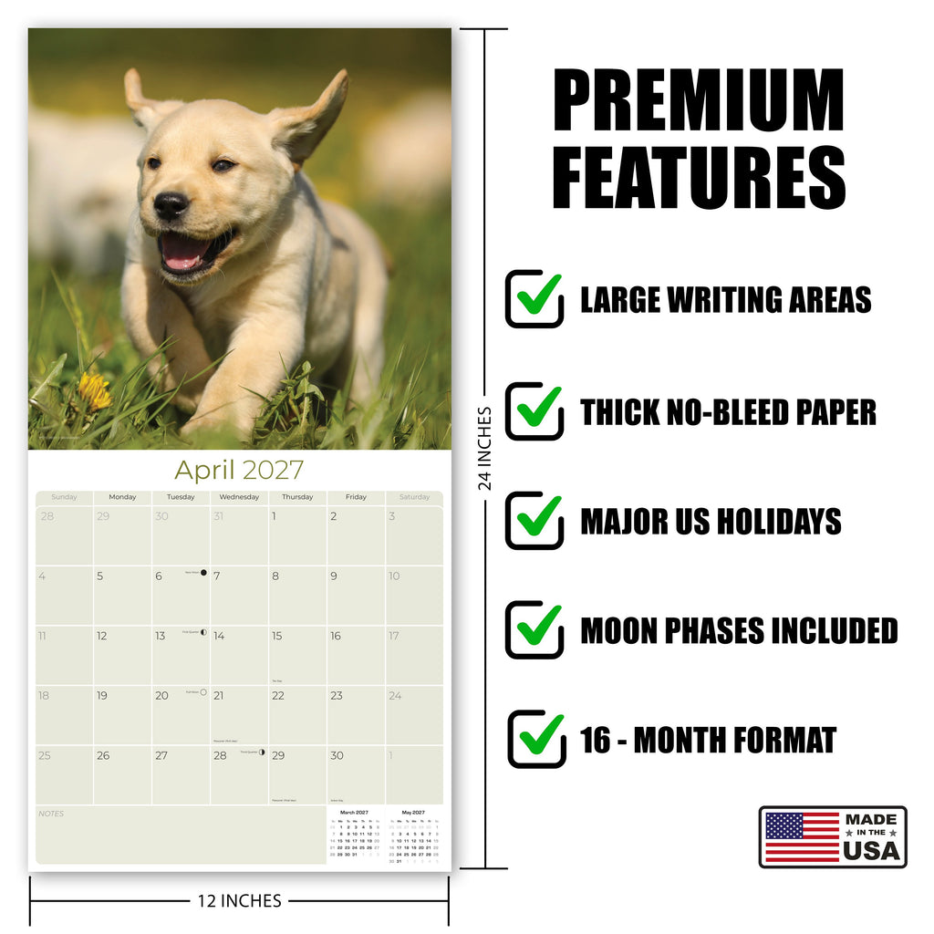 Yellow Labrador Retriever Puppies Wall Calendar 2027 - 12" x 12" Monthly Adorable & Playful Yellow Lab Puppy Breed Calendar