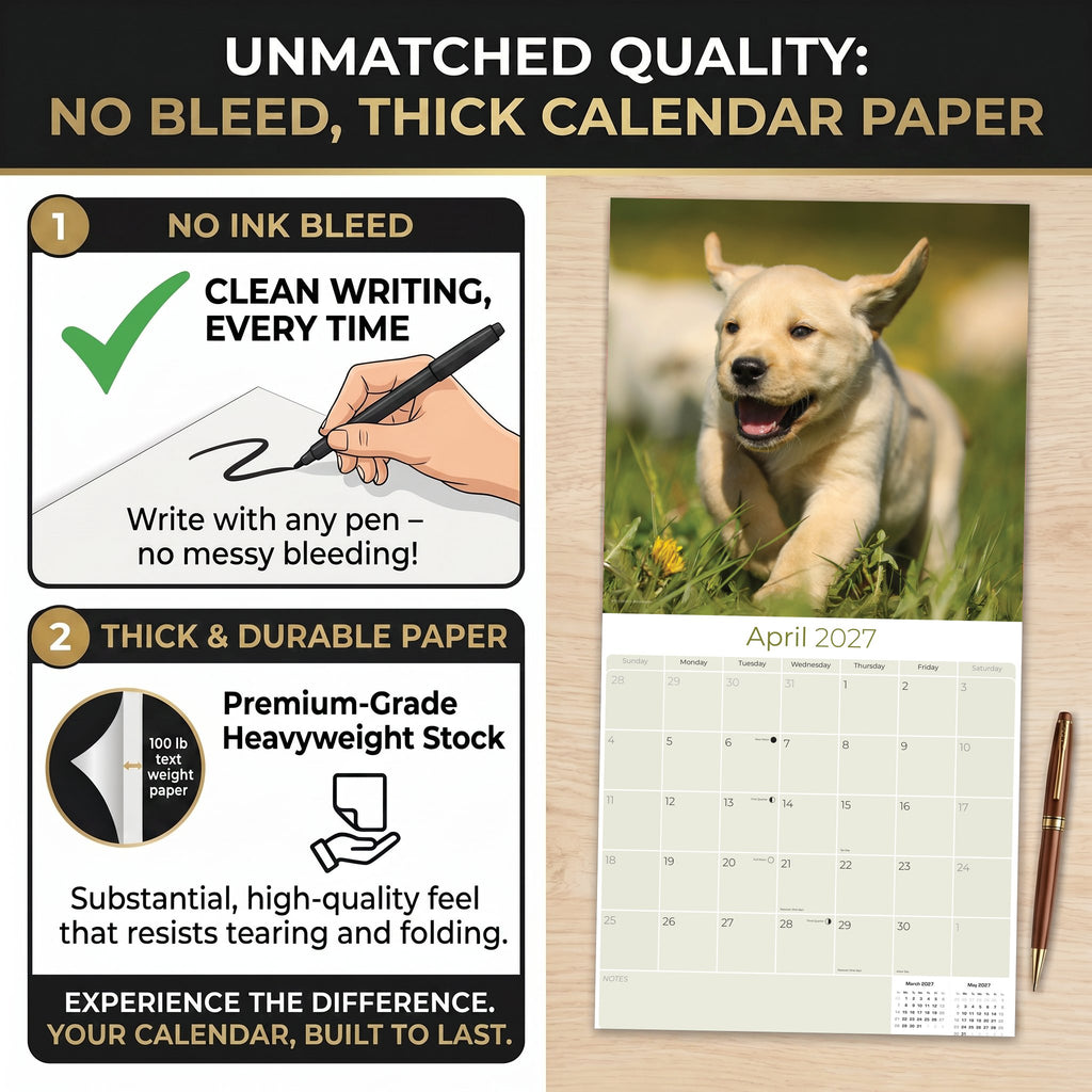 Yellow Labrador Retriever Puppies Wall Calendar 2027 - 12" x 12" Monthly Adorable & Playful Yellow Lab Puppy Breed Calendar