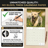 Yellow Labrador Retriever Puppies Wall Calendar 2027 - 12" x 12" Monthly Adorable & Playful Yellow Lab Puppy Breed Calendar