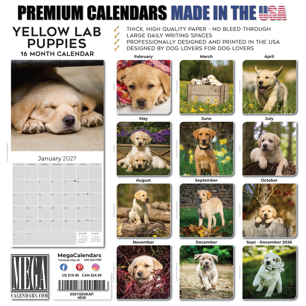Yellow Labrador Retriever Puppies Wall Calendar 2027 - 12" x 12" Monthly Adorable & Playful Yellow Lab Puppy Breed Calendar